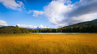 geroldsee_320pix